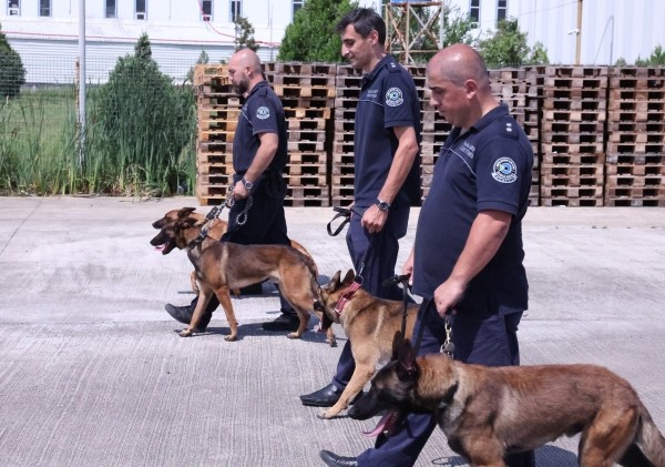 Грузинская таможня взяла на работу четырех собак для борьбы с контрабандной сигарет Грузинская таможня взяла на работу четырех собак для борьбы с контрабандной сигарет