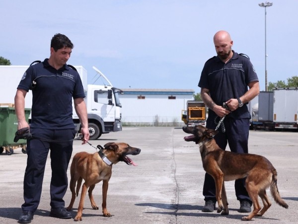 Грузинская таможня взяла на работу четырех собак для борьбы с контрабандной сигарет Грузинская таможня взяла на работу четырех собак для борьбы с контрабандной сигарет