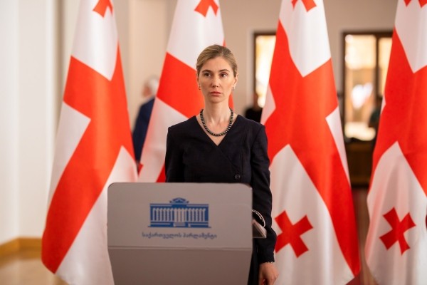 Бокучава: «Невозможно, чтобы интересы Трампа и Иванишвили совпадали» Бокучава: «Невозможно, чтобы интересы Трампа и Иванишвили совпадали»