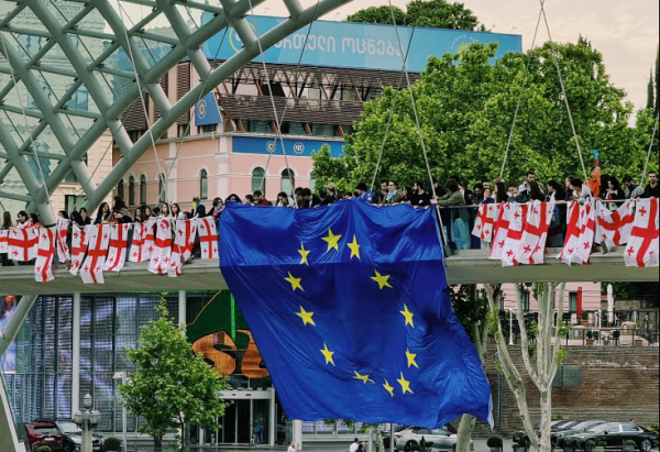 Более 120 НПО Грузии подают иск в Конституционный суд из-за закона об иноагентах