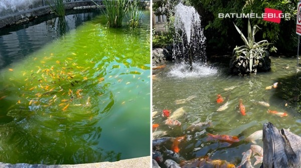 В Батуми отреставрируют историческое здание с аквариумом