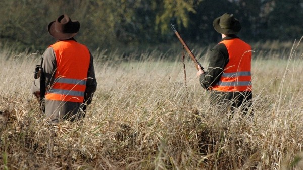 Сезон охоты на перелетных птиц открывается в Грузии в конце августа