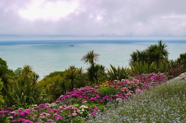 Сотрудник Батумского ботанического сада задержан за изнасилование туристки Сотрудник Батумского ботанического сада задержан за изнасилование туристки