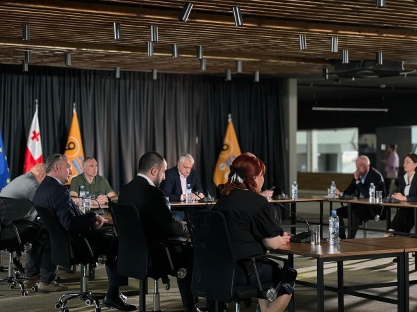 «Сильная Грузия» объявила о сотрудничестве с аналитическим центром бывшего адвоката Иванишвили