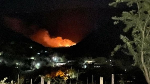 Посольство Грузии в Греции объявило номер горячей линии в связи с пожарами Посольство Грузии в Греции объявило номер горячей линии в связи с пожарами