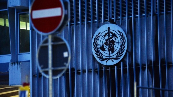 Опасна ли оспа обезьян так же, как COVID-19? Данные ВОЗ