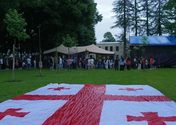 В «Грузинской мечте» подозревают Данию в попытке вмешательства в выборы
