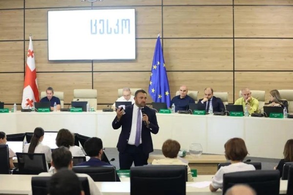 ЦИК Грузии определил порядковые номера избирательных субъектов к парламентским выборам 26 октября