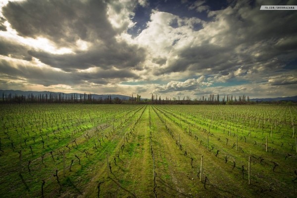 Финляндия поможет Грузии усовершенноствовать прогнозирование погоды Финляндия поможет Грузии усовершенноствовать прогнозирование погоды