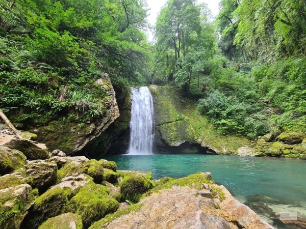 Туристка из Польши погибла во время экскурсии в Западной Грузии