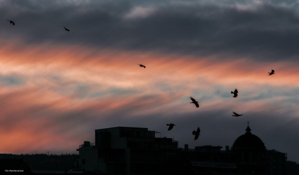 Синоптики предупредили о сильном ветре в Грузии в ближайшие дни