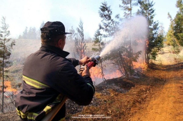 В Грузии тушат пожар на территории одного из крупнейших национальных парков Европы В Грузии тушат пожар на территории одного из крупнейших национальных парков Европы