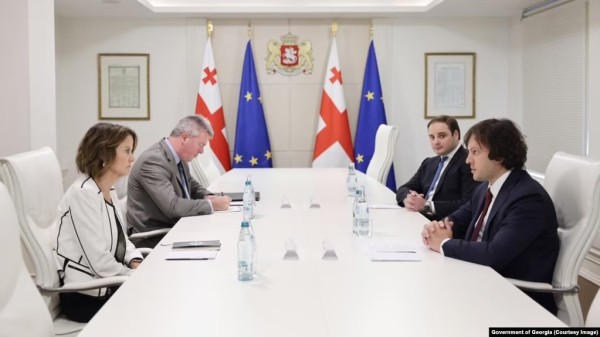 Правительство Грузии заявило, что США «подошли к критической черте» Правительство Грузии заявило, что США «подошли к критической черте»