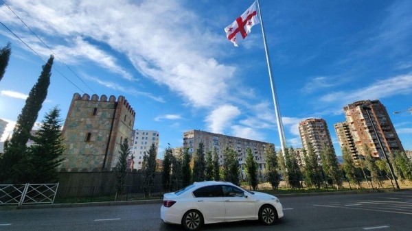 Какую помощь государство оказывает ветеранам в Грузии? Какую помощь государство оказывает ветеранам в Грузии?