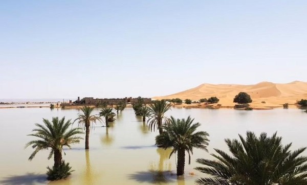 Часть Сахары затопило - фото самой сухой пустыни на Земле, где редкие осадки создали невероятные пейзажи Часть Сахары затопило - фото самой сухой пустыни на Земле, где редкие осадки создали невероятные пейзажи