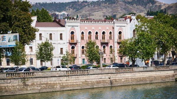 Оборот НКО в Грузии в 2023 году составил 254,2 миллиона лари