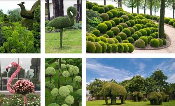 "Это будет один из самых дорогостоящих проектов" - На какой парк мэрия планирует потратить 100 миллионов (+фото) "Это будет один из самых дорогостоящих проектов" - На какой парк мэрия планирует потратить 100 миллионов (+фото)