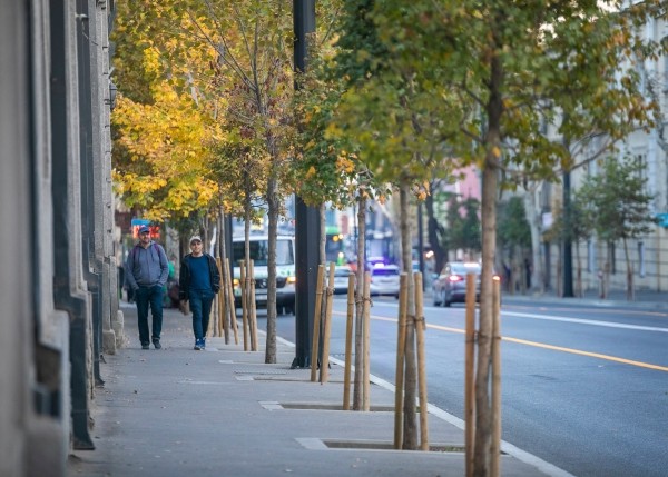 Прогноз погоды в Грузии на 24-27 октября