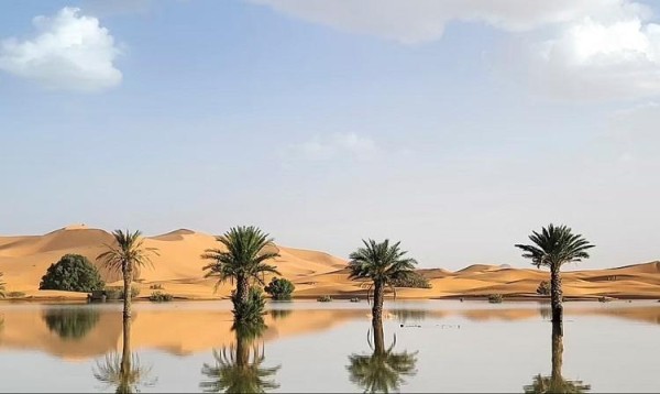 Часть Сахары затопило - фото самой сухой пустыни на Земле, где редкие осадки создали невероятные пейзажи Часть Сахары затопило - фото самой сухой пустыни на Земле, где редкие осадки создали невероятные пейзажи