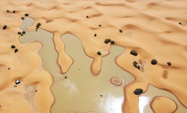 Часть Сахары затопило - фото самой сухой пустыни на Земле, где редкие осадки создали невероятные пейзажи Часть Сахары затопило - фото самой сухой пустыни на Земле, где редкие осадки создали невероятные пейзажи