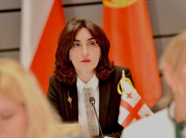В новом правительстве Грузии заявили о недопустимости ультиматумов по вступлению в ЕС
