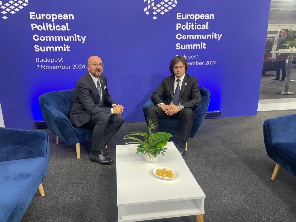 Кобахидзе рассказал Мишелю об отсутствии общественной поддержки у грузинской оппозиции