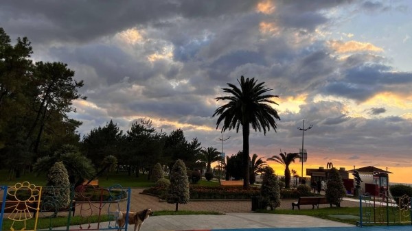 Что общего у Грузии с Марокко и Мальдивами?