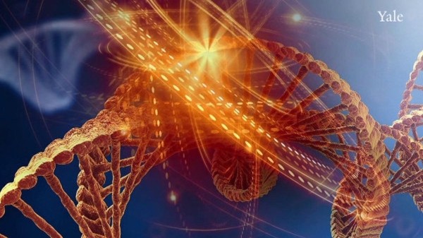 На каком этапе в Грузии находится создание базы ДНК преступников – ответ ведомства На каком этапе в Грузии находится создание базы ДНК преступников – ответ ведомства