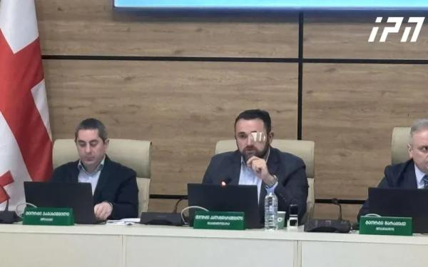 Подписан итоговый протокол: у «Грузинской мечты» 53,93% - сколько процентов у остальных партий и что происходило на шумном заседании (фото/видео)