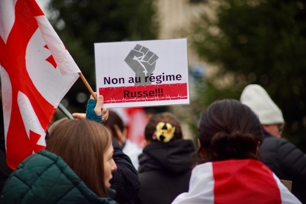 Freebusiness назвала грузинские компании, отказавшиеся поддержать требование новых выборов