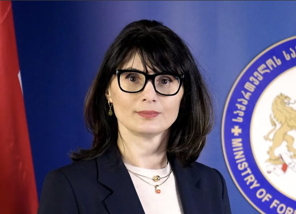 Поcол Грузии в Литве подала в отставку в знак протеста