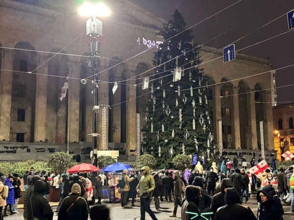Мэрия Тбилиси решила зажечь главную новогоднюю елку без церемоний Мэрия Тбилиси решила зажечь главную новогоднюю елку без церемоний
