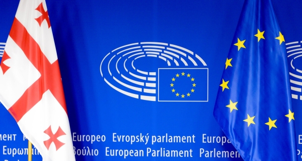 Вопрос Грузии — в повестке дня Европарламента и ПАСЕ Вопрос Грузии — в повестке дня Европарламента и ПАСЕ