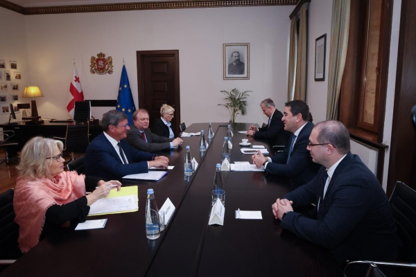 ПАСЕ направила в Грузию миссию для оценки прав человека на фоне политического кризиса