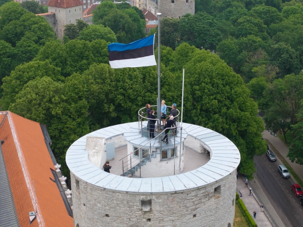 Рийгикогу не признает легитимность парламента, правительства и президента Грузии