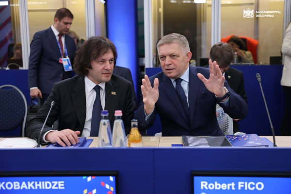 Кобахидзе считает, что протесты в Грузии и Словакии координируются одной рукой