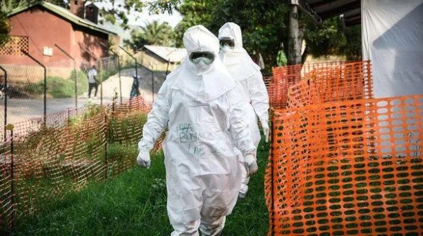 От неизвестной болезни в Конго умерли более 50 человек: по имеющимся данным, впервые она была обнаружена у 3 детей, съевших мертвую летучую мышь - что говорит ВОЗ От неизвестной болезни в Конго умерли более 50 человек: по имеющимся данным, впервые она была обнаружена у 3 детей, съевших мертвую летучую мышь - что говорит ВОЗ