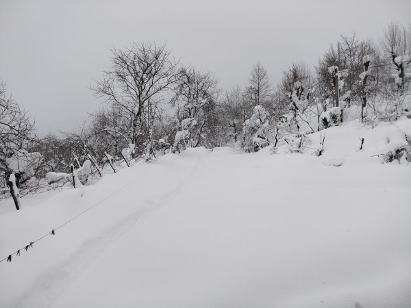 «Застряли дети и старики — несколько одиноких людей вообще не выходят на контакт» — какова ситуация в Ланчхути и Чохатаури