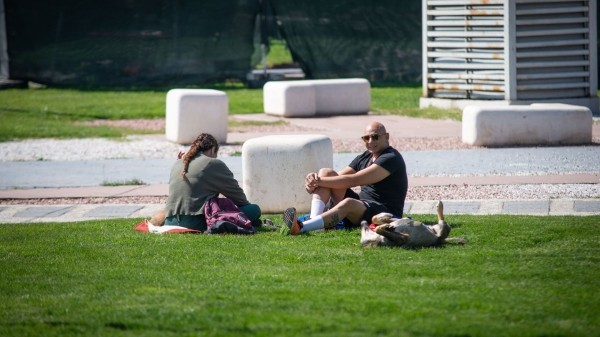 Есть ли равноправие между мужчинами и женщинами в Грузии? Исследование ООН