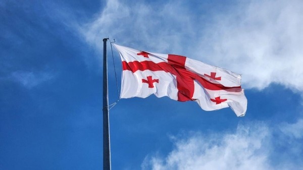 Иностранным гражданам могут ограничить работу в Грузии