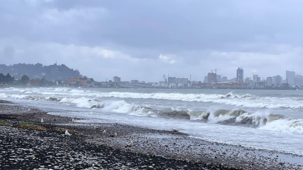 Безопасно ли купаться в Черном море – грузинские экологи изучат образцы воды