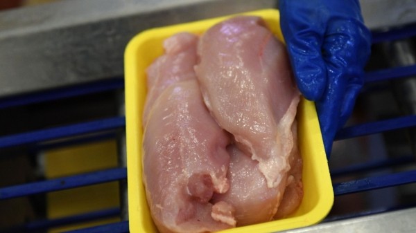 Что мы едим? Грузия уничтожила 108 тонн некачественного мяса из Германии Что мы едим? Грузия уничтожила 108 тонн некачественного мяса из Германии