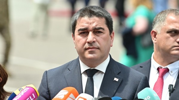 Нарушающим закон иностранцам нечего делать в Грузии – спикер парламента  Нарушающим закон иностранцам нечего делать в Грузии – спикер парламента