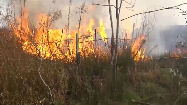 Осторожно с огнем – жителям Грузии напомнили об опасности лесных пожаров в жару Осторожно с огнем – жителям Грузии напомнили об опасности лесных пожаров в жару