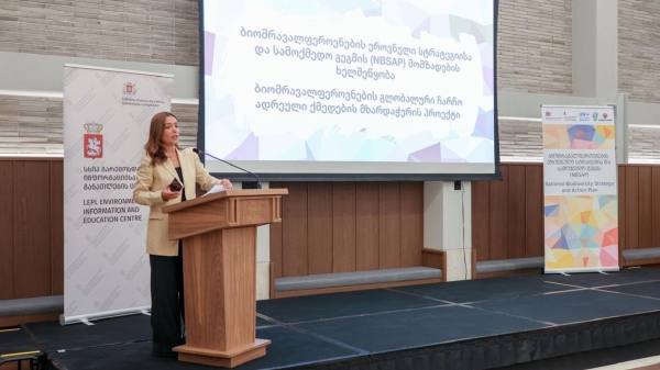 Грузия готовит стратегию охраны биоразнообразия на ближайшие годы Грузия готовит стратегию охраны биоразнообразия на ближайшие годы