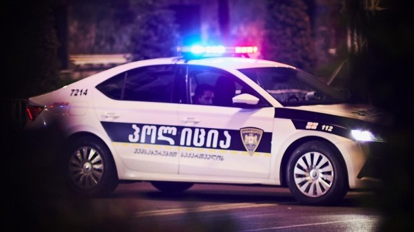 Власти Грузии получат право проверять места жительства и работы иностранцев