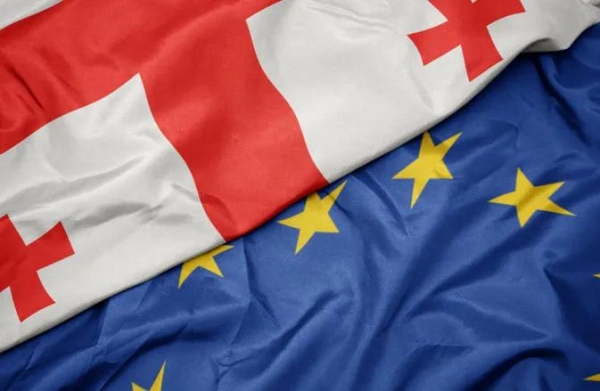 Европарламент – Грузия не сможет вступить в Евросоюз до тех пор, пока её правительство не изменит авторитарный курс Европарламент – Грузия не сможет вступить в Евросоюз до тех пор, пока её правительство не изменит авторитарный курс