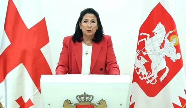 Платформа сопротивления, переходное правительство и «Грузинская хартия» — Саломе Зурабишвили представила план действий