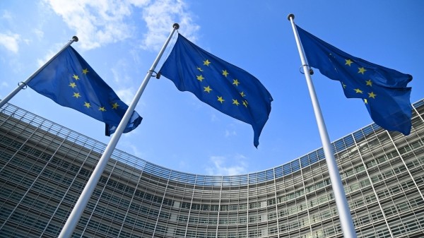 Сколько граждан Грузии выдворили из ЕС с начала 2025 года Сколько граждан Грузии выдворили из ЕС с начала 2025 года