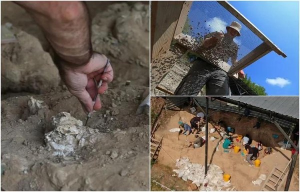 Очередное открытие в Дманиси: «Это может дать нам много информации о человечестве» - что пишет Reuters?